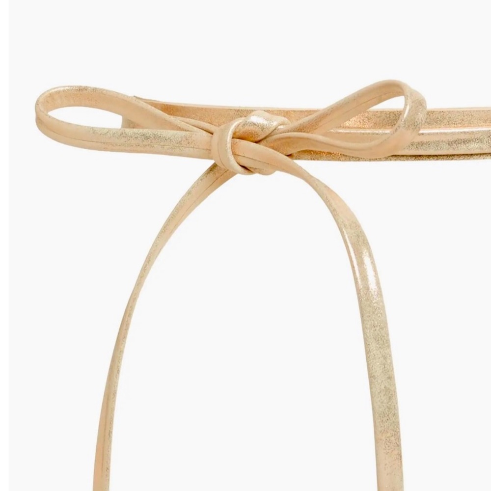 Shimmer Belt